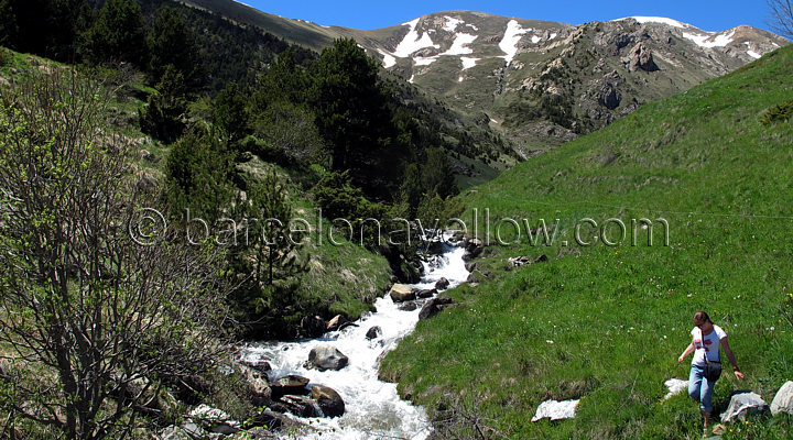 pyrenees_streams