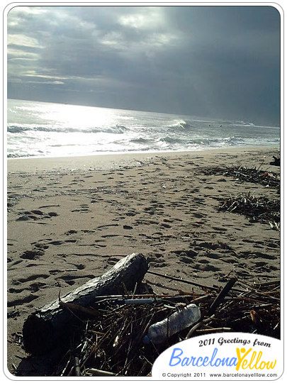 barcelona_autumn_beaches_debris