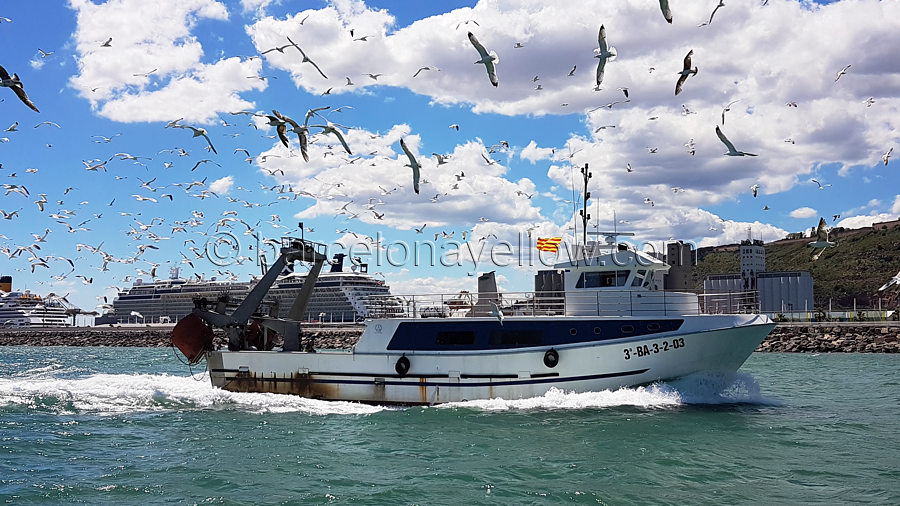 port_vell_barcelona_fishing_boats