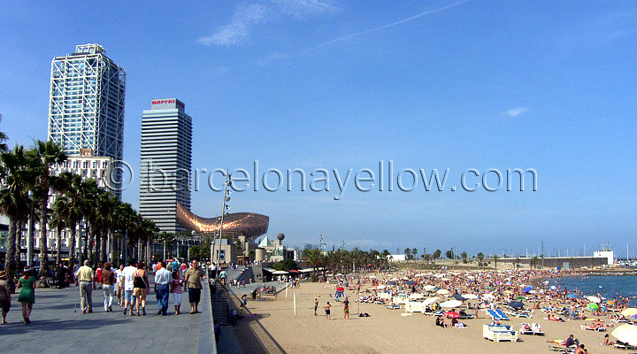 720x400_barcelona_beaches_passeig_maritim