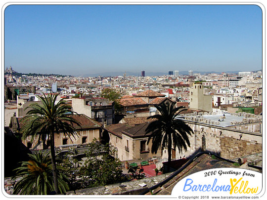 Barcelona cathedral roof views