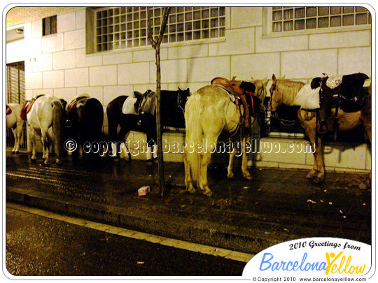 La Festa de Sant Medir