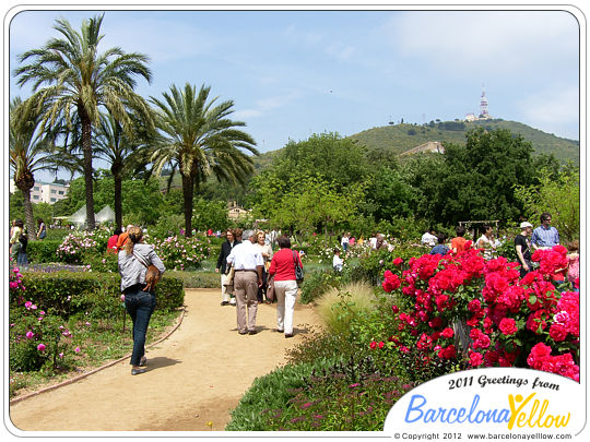 Barcelona Rose Festival - Concurs Internacional de Roses Noves