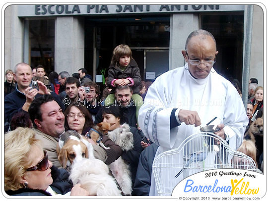 Festa dels Tres Tombs pet blessing