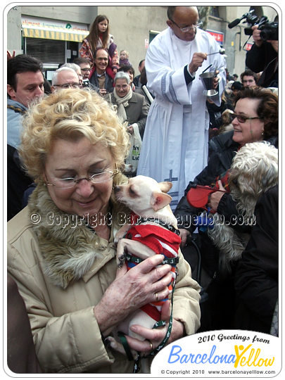 Festa dels Tres Tombs pet blessing