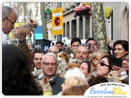 Festa dels Tres Tombs